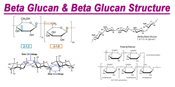 Beta glucans. Бета глюкан структурная формула. Beta Glucan формула. 1 6 Бета д глюкан. Структура бета глюкана.